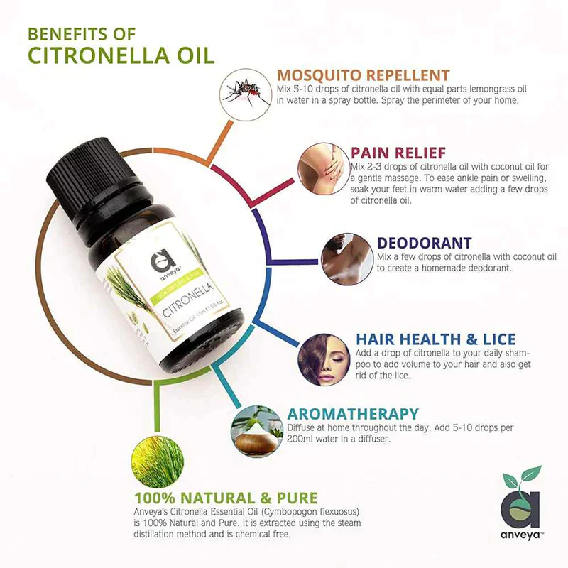 Anveya Citronella Oil, 100% Pure, 15ml, For Hair, Skin, Mosquito Repellent & Refreshing Aroma - Image 5