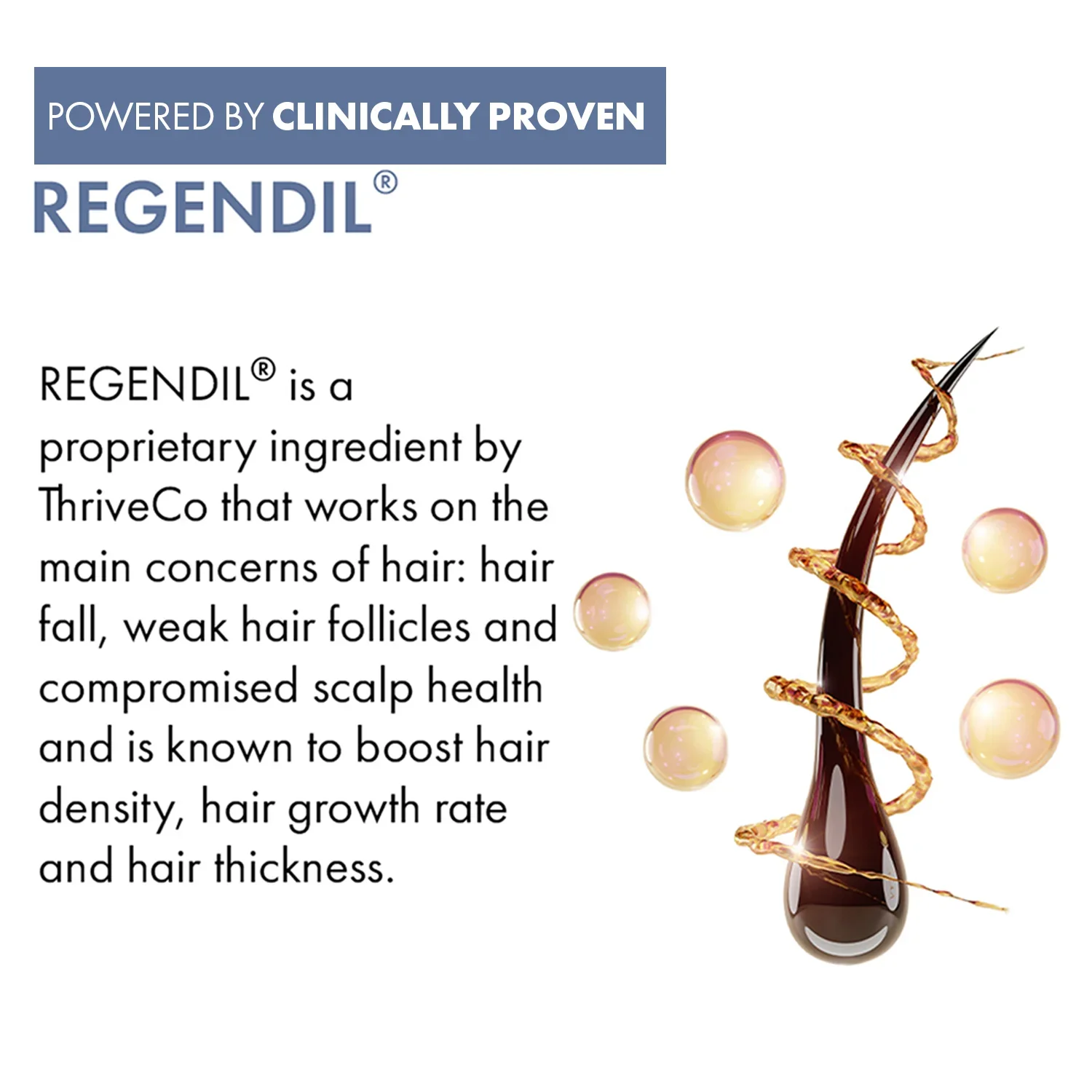 ThriveCo Hair Growth Serum 2.0 For Women | 50ML - Image 5