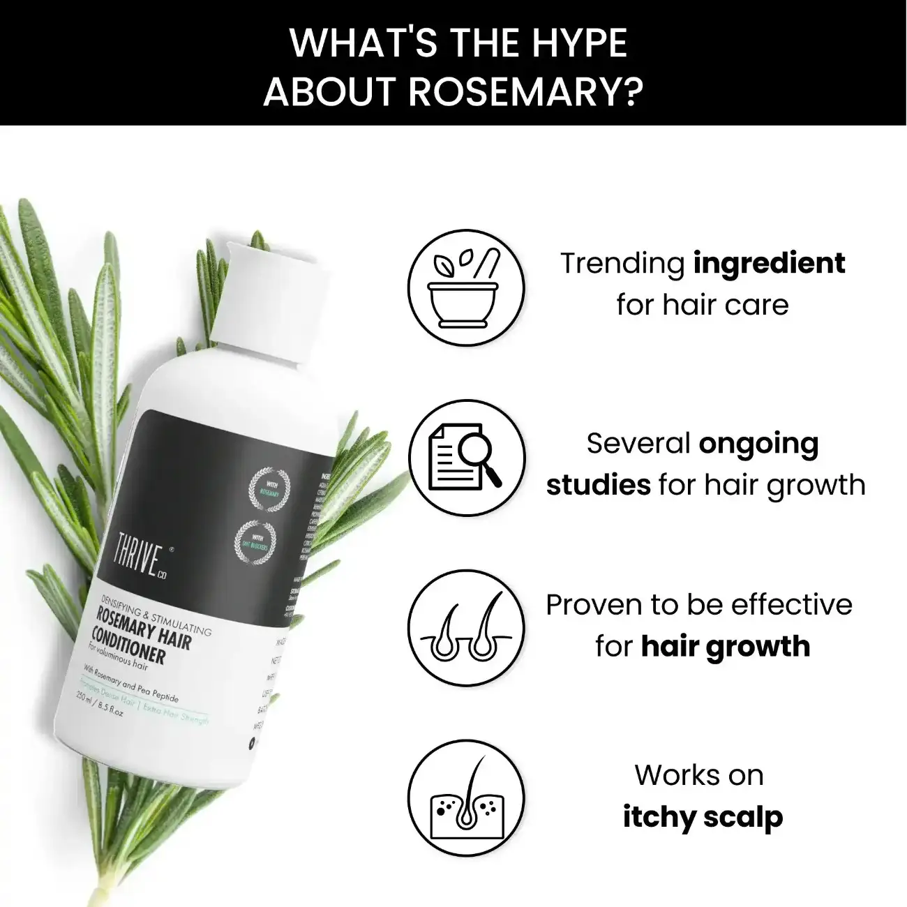 Rosemary Conditioner, 250ml - Image 3