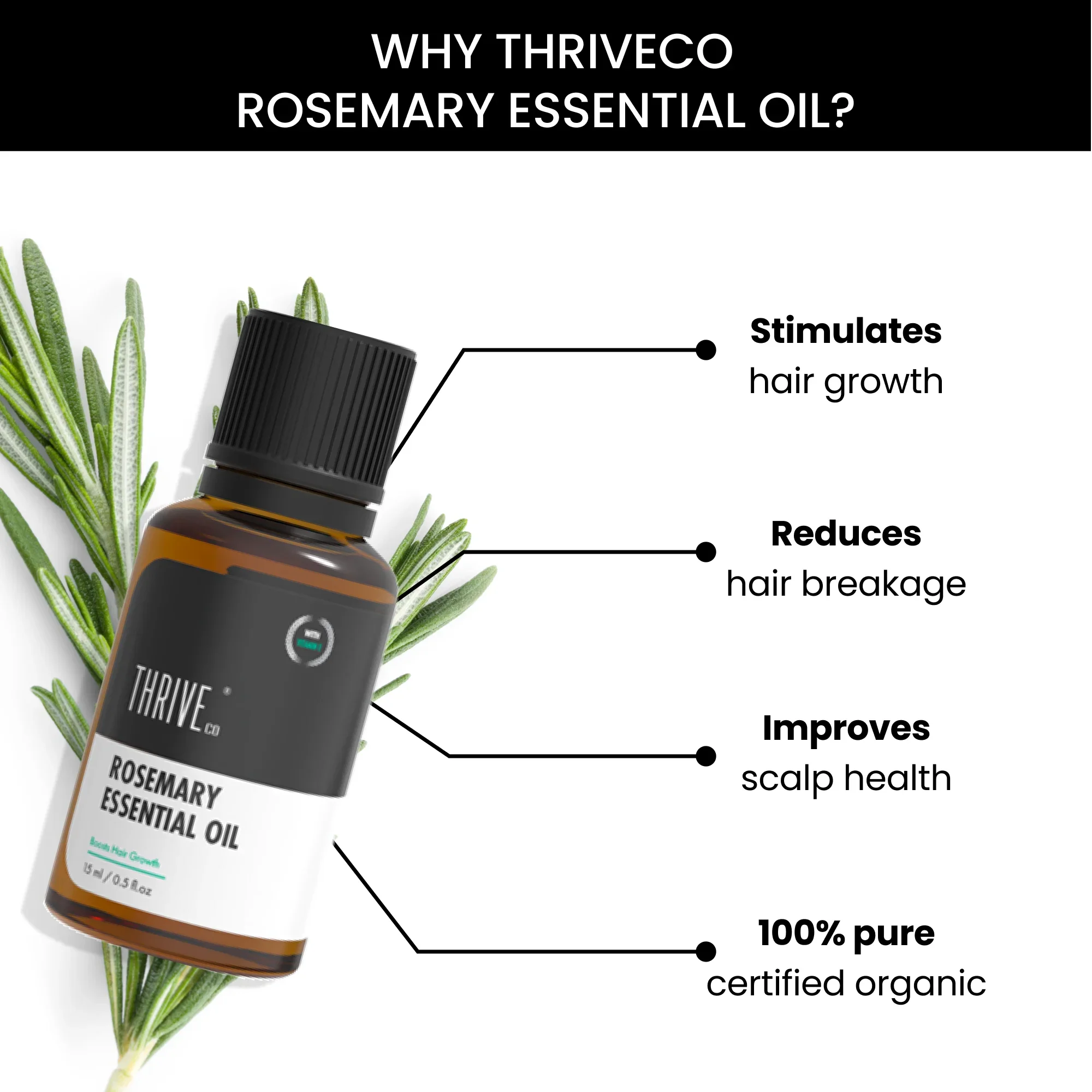 Rosemary Essential Oil, Pack of 2 - 15ml each - Image 4