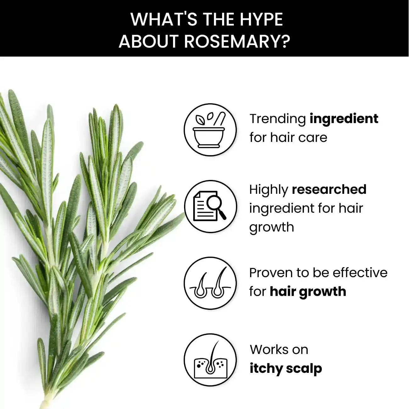 Rosemary Shampoo(250ml), Conditioner (250ml) & Rosemary Essential Oil (15ml) Combo - Image 4